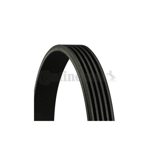 RIBBED V-BELT | CONTINENTAL | 5PK1125